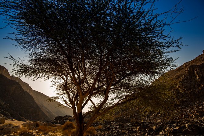 Sunset Luxury Experience at Dry Canyon Wadi Belli - Embrace the Desert Adventure