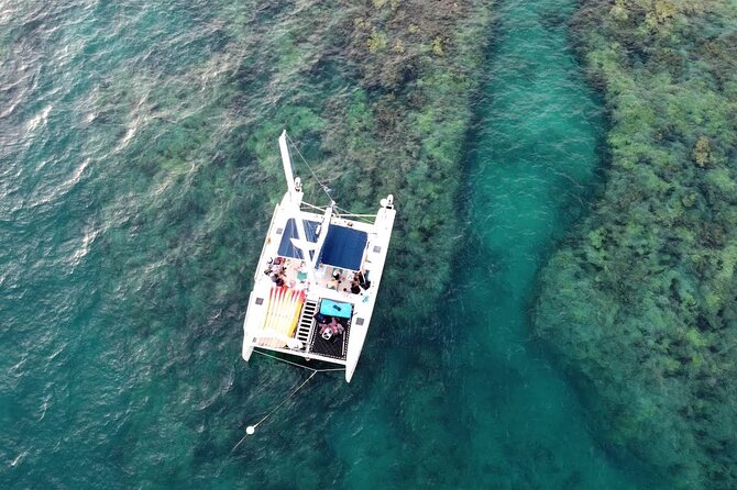 Sunset Sail + Guided Reef Snorkel - Small Groups With Honest Eco