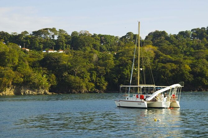 Sunset Sails Tours Morning or Afternoon