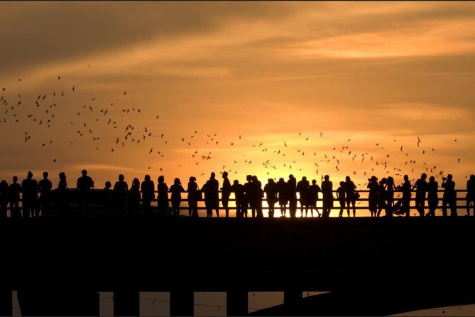 Sunset Skyline Kayak Tour - Experience Highlights