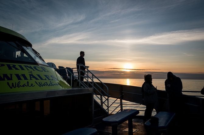 Sunset Whale Watching Adventure From Victoria