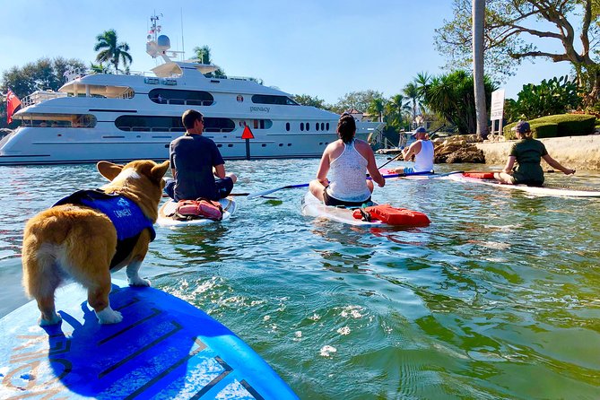 SUP PUP Paddleboard Tour