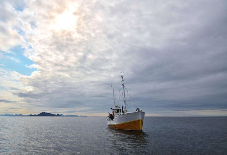 5 Best Fishing Tours In Svolvaer