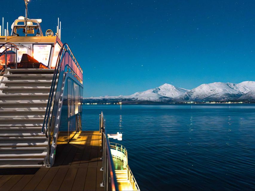 Svolvær: Northern Lights and Full Steam Cruise With Tasting