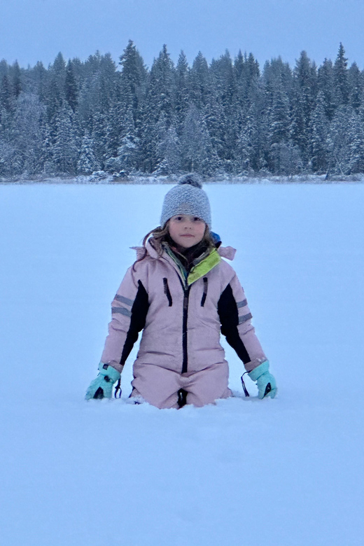 Swedish Lapland : Sled Dog and Reindeer Farm With the Family