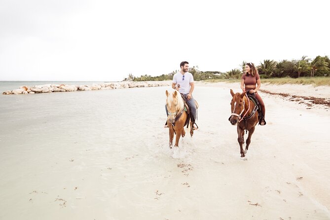 Swim With the Horses Private Tour