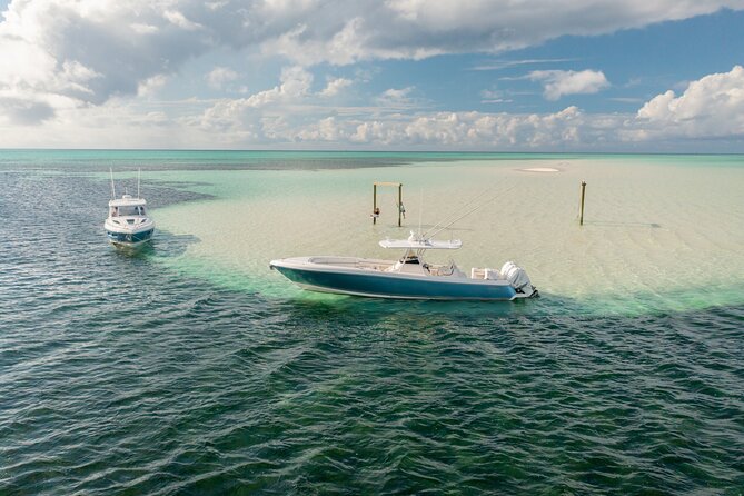 Swim With the Turtles! Harbour Island Luxury Private Boat Tour