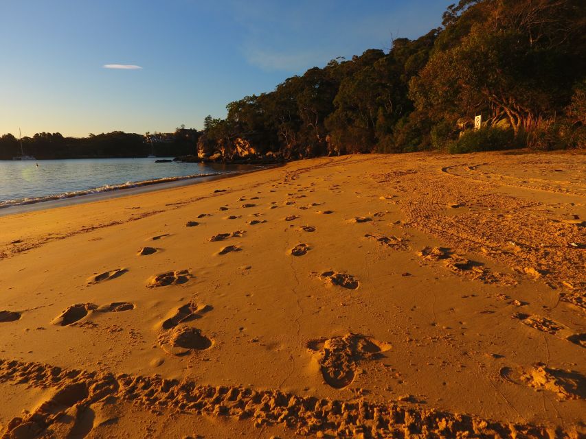 Sydney: BYO Picnic in Paradise for 2