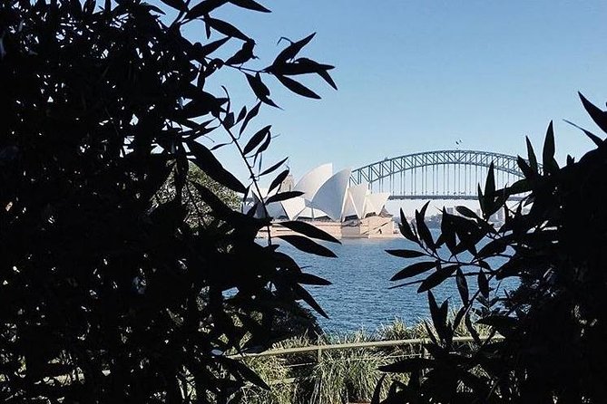 Sydney Icons & Bondi Half Day Private Tour