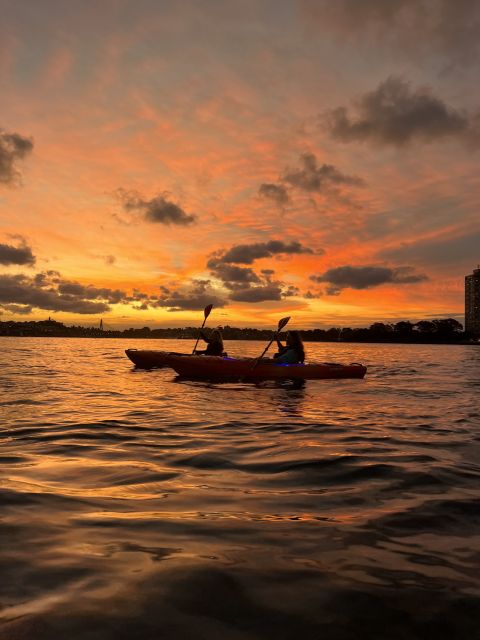 Sydney: Sunset Kayak Tour on Sydney Harbour