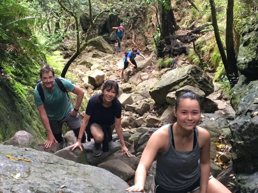 Table Mountain Hike With Local Tour Guide | Power Traveller