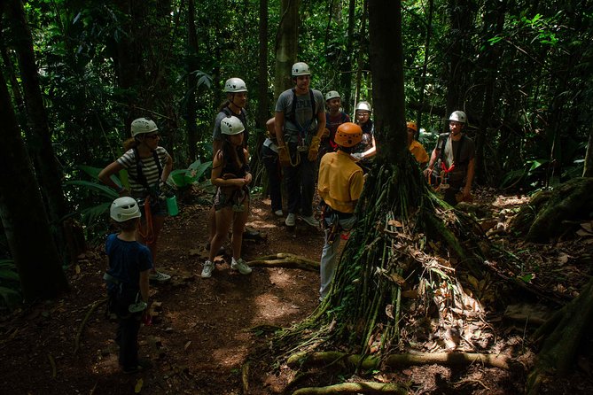 Take Your Adrenaline to the Fullest With Our Zipline Tour!