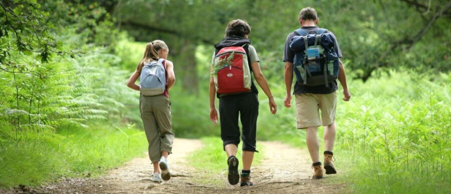 Tala Game Reserve & Natal Lion Park Full Day Tour Fr Durban
