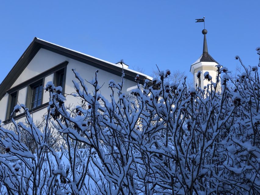 Tallinn: Half-Day Private Estonian Waterfalls - Experience Highlights