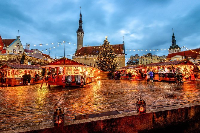 Tallinn Shore Excursion: Tallinn Sightseeing Tour by Coach and Foot