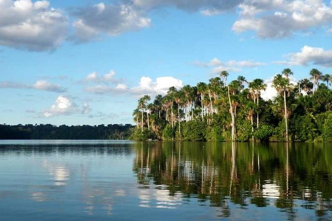 Tambopata Jungle Adventure Tour 4 Days