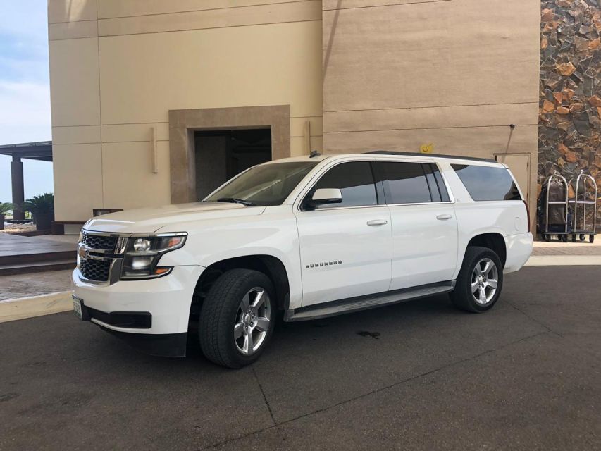 Tampa Bay Cruise Port: Private Transfer to Tampa Hotels