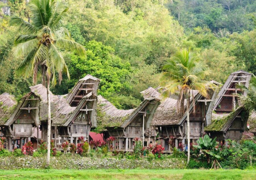 Tana Toraja: Private 3D2N Tour in South Sulawesi