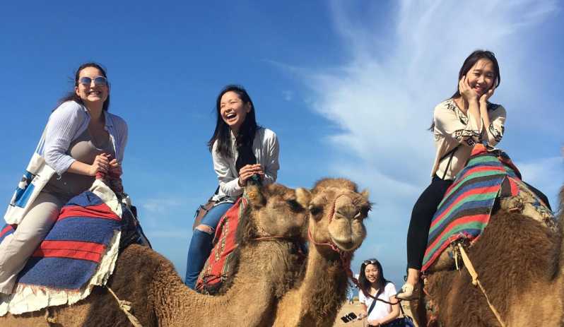 Tangier Private Half-Day Tour + Camel Ride + Add-on: Lunch - Tour Overview and Pricing