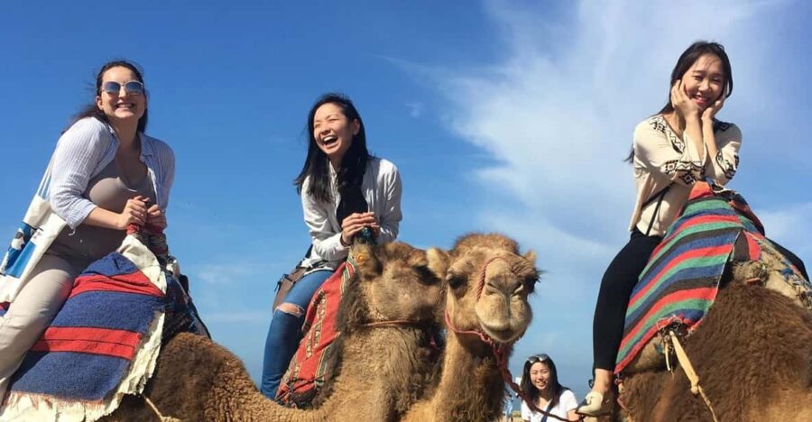 Tangier Private Half-Day Tour + Camel Ride + Add-on: Lunch - Tour Overview