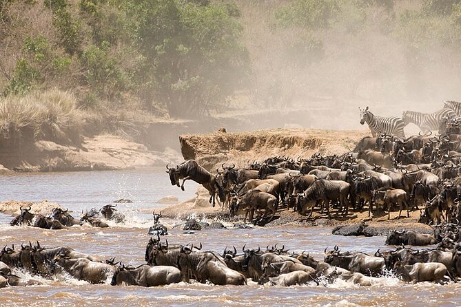 Tarangire, Serengeti, Ngorongoro & Lake Manyara Group Safari (5 Days)