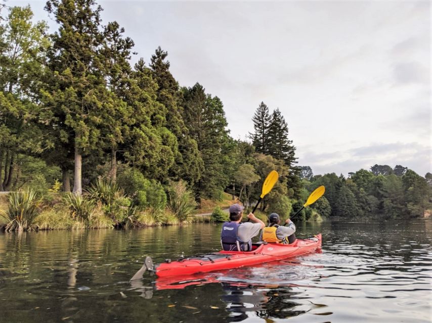 Tauranga: Evening Glowworm Kayak Tour - Inclusions and Amenities