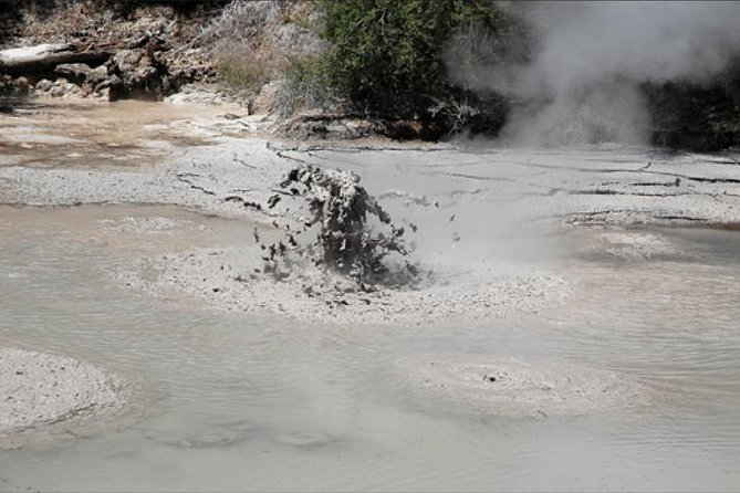 Tauranga Shore Excursion: Rotorua Tour Including Gondola Ride and Fun Luge (Opt)