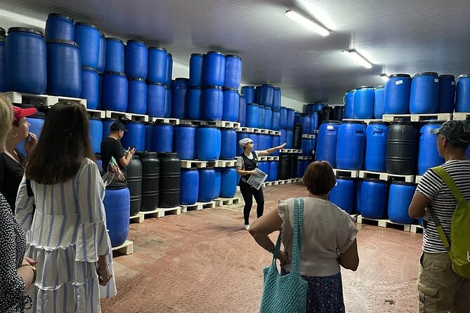 Tavira Olive Experience Factory Tour and Tasting - Overview of the Experience