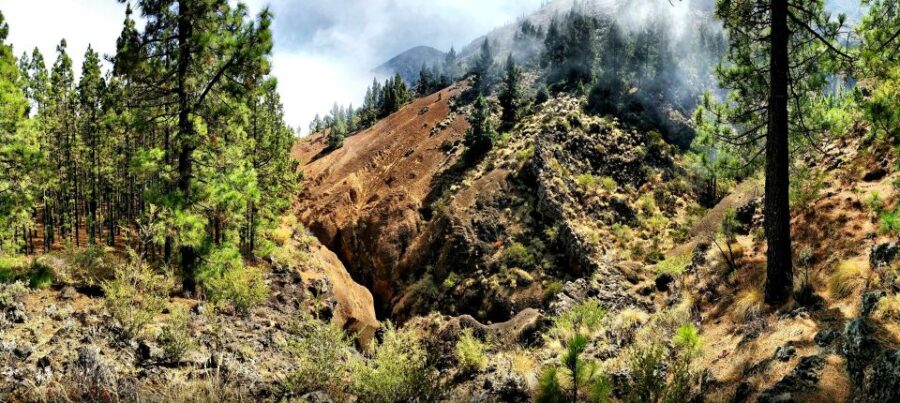 Tenerife: Barranco De Los Arcos – Canyoning in Tenerife