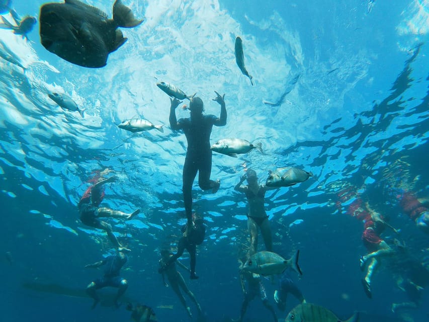 2 Best Tours In Palm Mar