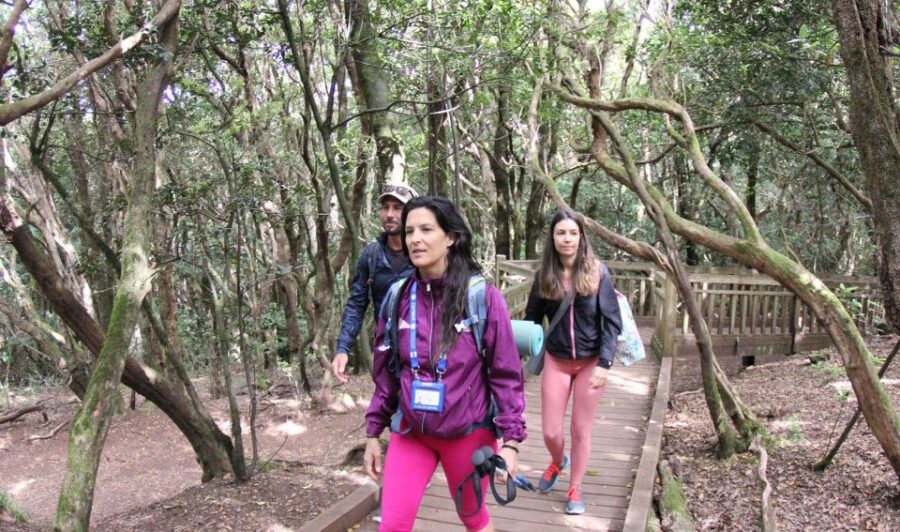 Tenerife: Guided Mindful Hike in Anaga Biosphere Reserve