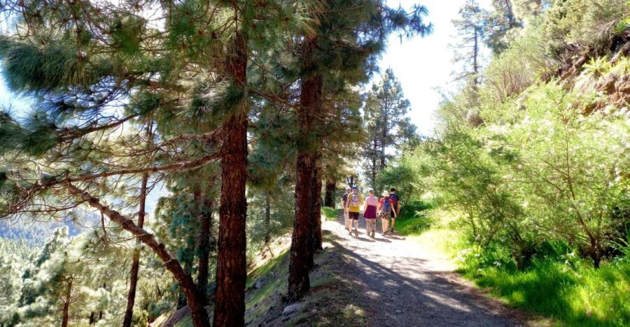 Tenerife: Hiking Above the Village of Masca