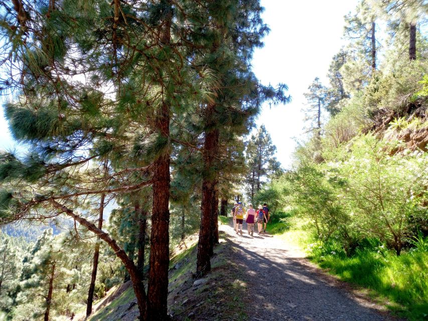 Tenerife: Hiking Above the Village of Masca - Exploring the Masca Gorge