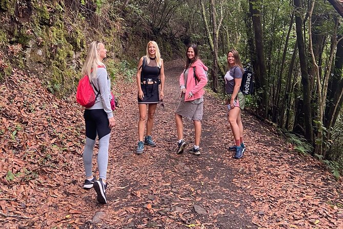 Tenerife: Hiking Through Enchanted Laurel Forest Above Masca