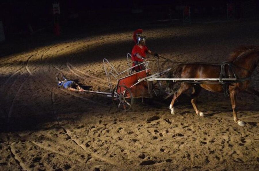 Tenerife: Horse Show Entry Ticket With Optional Dinner