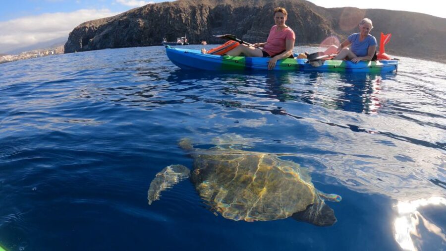 Tenerife: Kayak and Snorkel With Turtles