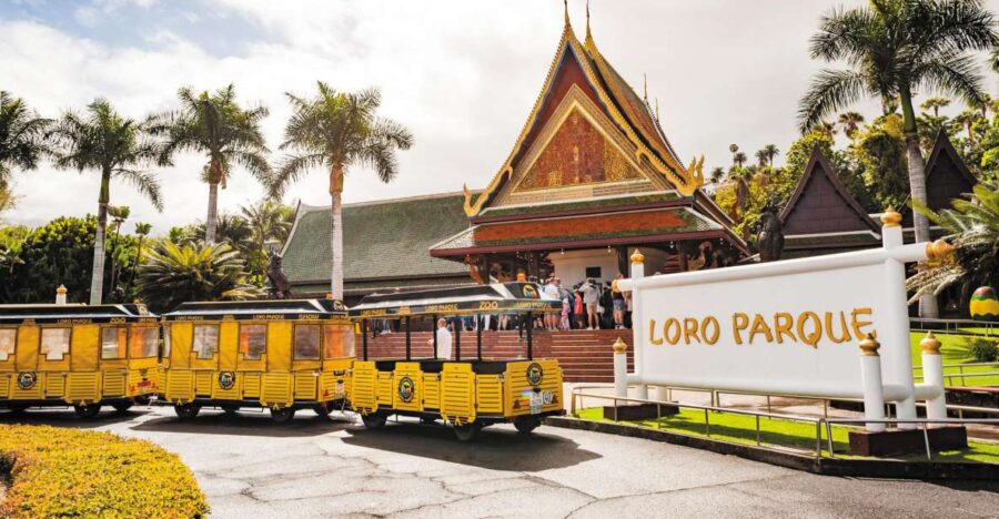 Tenerife: Loro Parque & Siam Park Entry Ticket With Transfer