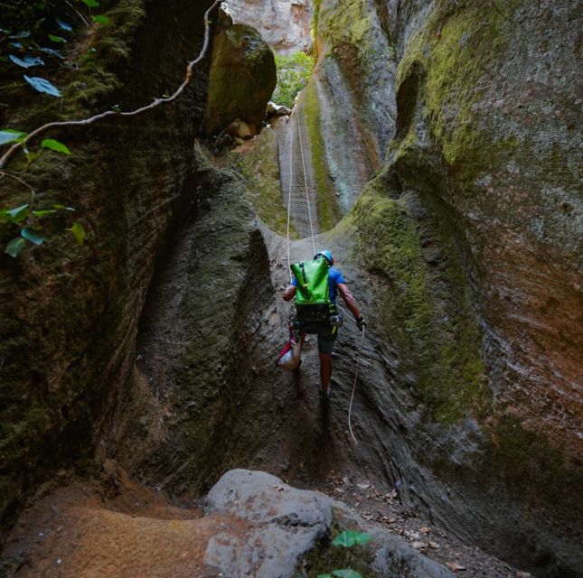 Tenerife: Los Arcos Canyoning Tour With Guide