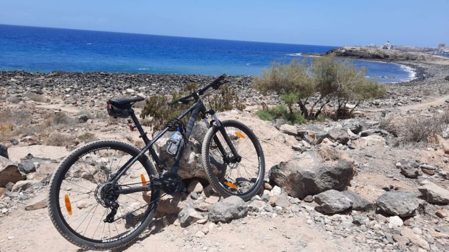 6 Best Bike Rentals In Tenerife