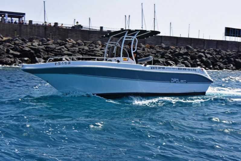Tenerife: Private Boat Tour 7 Hours, Private Groups With All Inclusive - Tour Overview