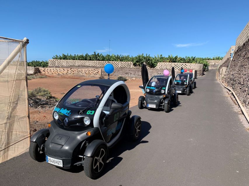 Tenerife: Private Renault Twizy Tour - Offering Overview