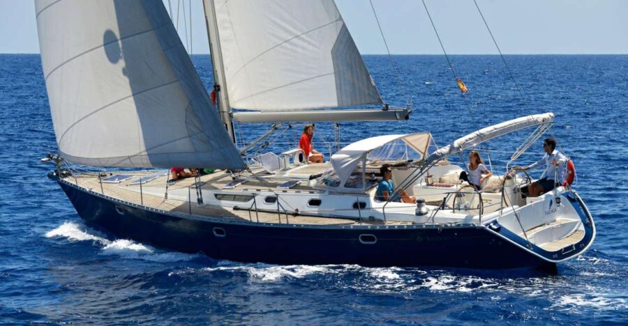 Tenerife: Sailing Excursion With Whale and Dolphin Watching