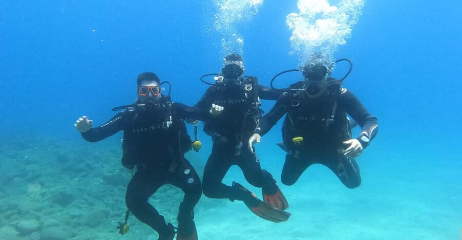 3 Best Scuba Diving Experiences In Adeje