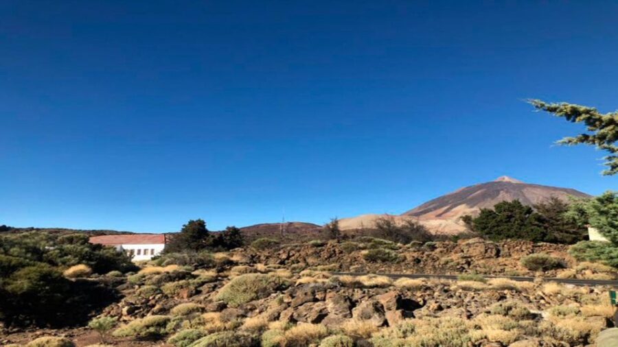 Tenerife: Teide National Park Guided Full-Day Trip by Bus