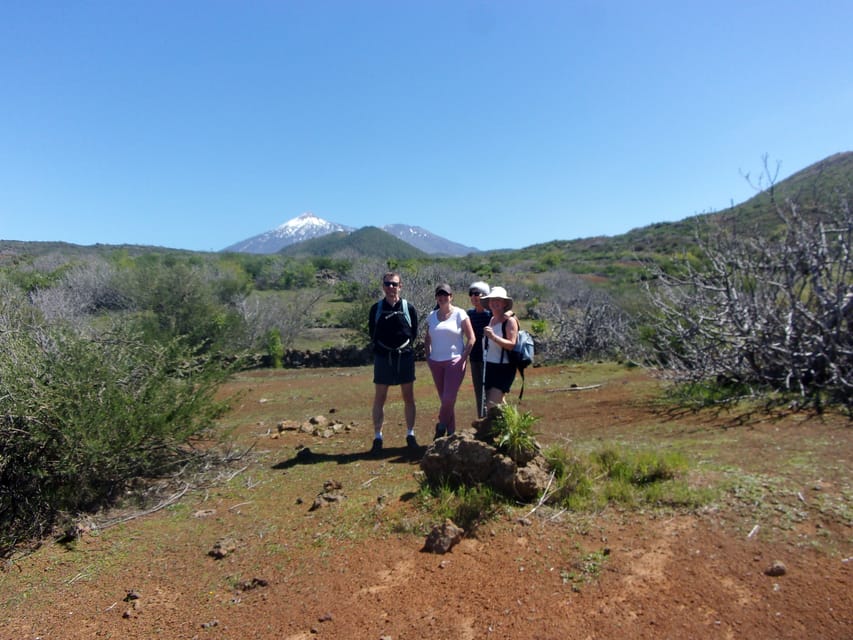 Tenerife: The Almond Blossom Trail