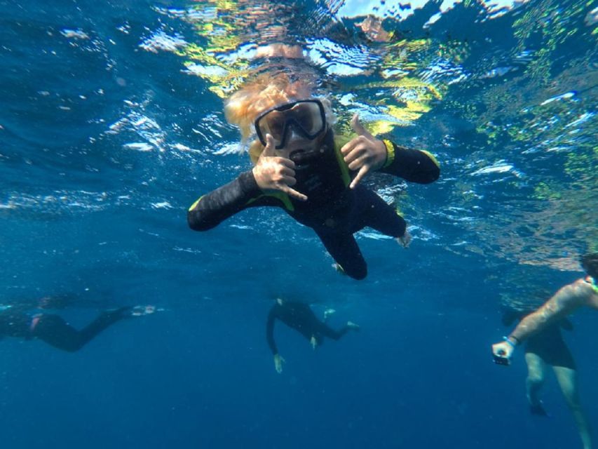 Tenerife: Underwater Lava Tongues Snorkel Excursion