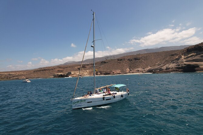Tenerife Whale Watching and Snorkeling Yacht Trip