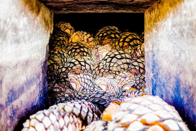 Tequila Day Experience Including Hacienda Cofradia With Lunch - Tour Overview