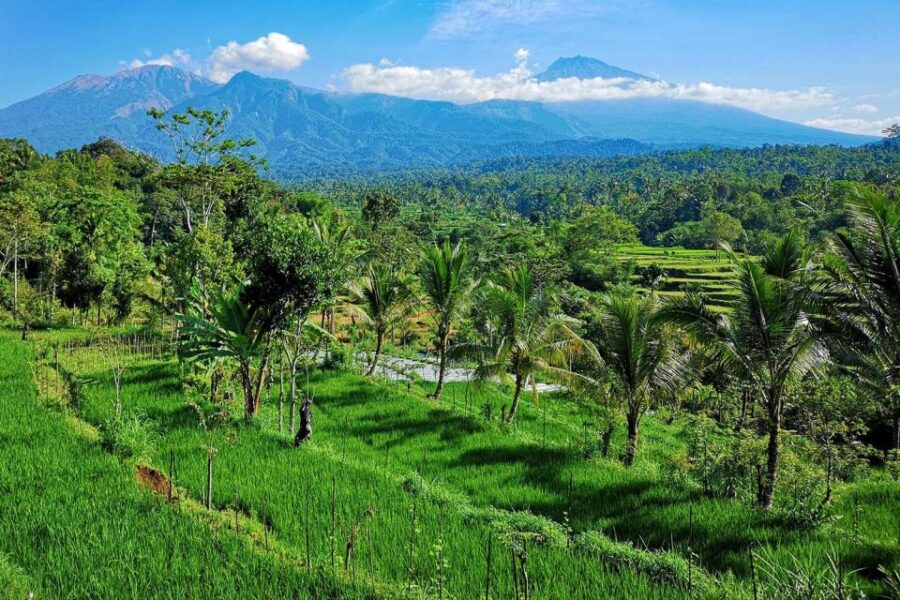 Tetebatu Soft Trekking - Tour Overview