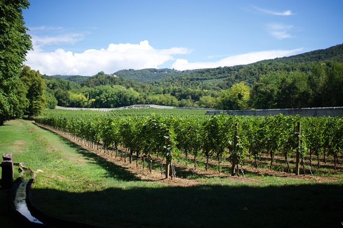 The Amarone Chateau Guided Tour and Tasting in Valpolicella